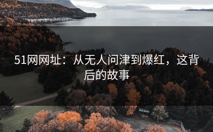 51网网址：从无人问津到爆红，这背后的故事