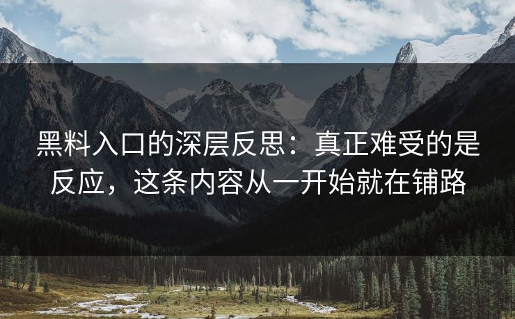 黑料入口的深层反思:真正难受的是反应,这条内容从一开始就在铺路